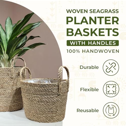 Set of 2 Woven Seagrass Planter Baskets with Handles – Handwoven Plant & Flower Pots for Indoor or Outdoor Use, Natural Straw Storage Baskets for Laundry Room, Living Room & Home Decor - size: Set of 2 (with handles), style: With handles