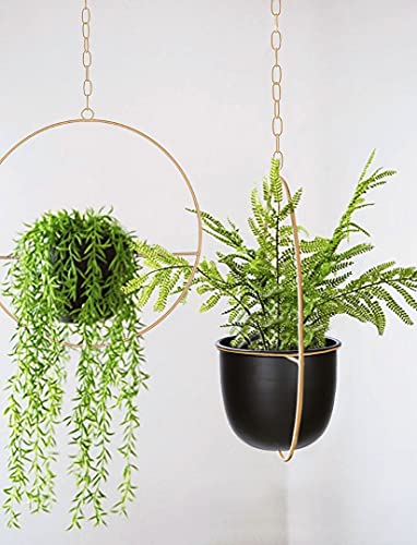 2 Pack Hanging Planters for Indoor Plants with 5.5" Pot + Ceiling Hook + Extender Chain | Hanging Plant Holder, Metal Minimalist Planter, NO Plant incld - color: Black & Gold
