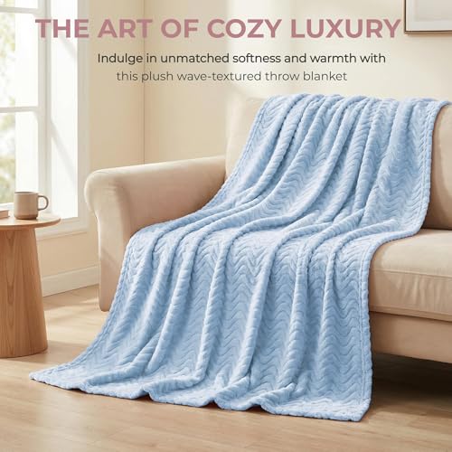 Exclusivo Mezcla Fleece Bed Blanket Queen Size, Lightweight Jacquard for Spring Summer, Soft Cozy Breathable Blankets, Light Blue, 90x90 Inches - color: Light Blue, size: Queen ( 90x90 IN )