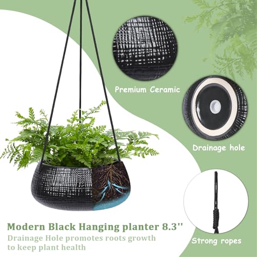8 Inch Hanging Planters for Indoor Plants - Small Hanging Flower Pots with Drainage Holes Round Ceramics Hanging Plant Pots Black - color: Black