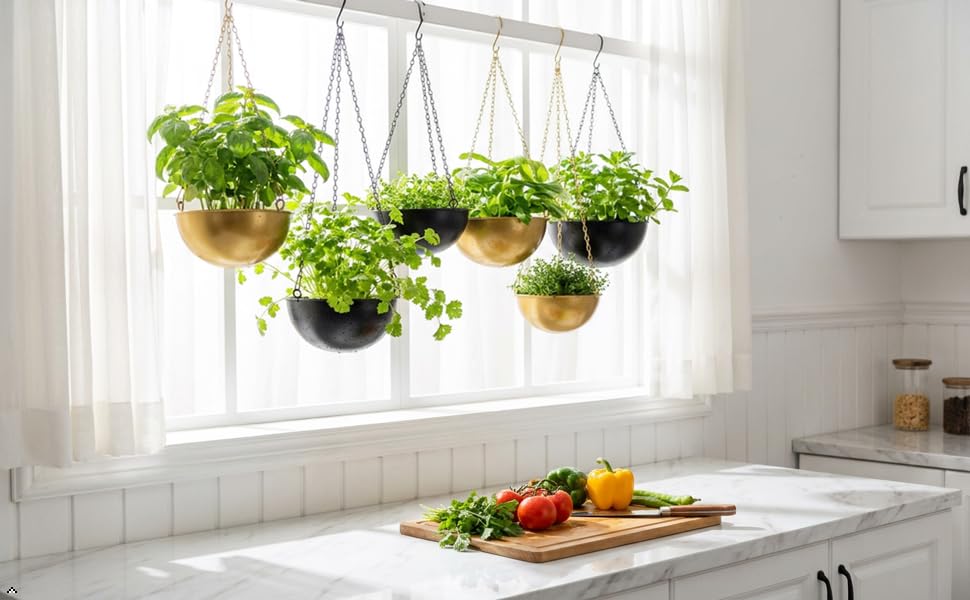 Set of 1 Metal Hanging Planters for Indoor Outdoor Plants,Round Hanging Baskets Large Flower Pots with Chain,Basket for Plant No Holes,Modern Storage Baskets for Garden Home Porch Decor (Black-7") - color: Black-7"