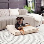 South Pine Porch Mila Square Tufted Pillow Style Dog Bed, Cream, Medium (32" x 32") - color: Cream, size: Medium (32" x 32")