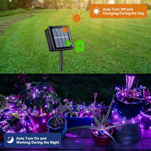 QITONG Solar Fairy Lights Outdoor Waterproof, 2 Pack Each 66ft 200 LED Purple Christmas String Lights, Silver Wire Twinkle Mini Lights with 8 Modes - color: Purple