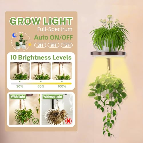 iDavosic.ly Wall Plant Holder with Grow Lights Set of 2 for Indoor Outdoor, Metal Hanger with 2 Hooks, Floating Flower Display Stand for Window, Space Saving & Easy to Assemble (Pots Not Included), Bronze - color: Bronze with Lights, size: 2 Pack