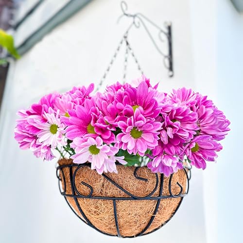 LaLaGreen Hanging Planter for Outdoor Plants (16 Inch, 2 Pack) Hanging Baskets with Coco Liner, Black Metal Wire Flower Basket Pots with Hook Hanger Balcony Porch Farmhouse Country Style Garden Decor - size: 16" x 2 Pack