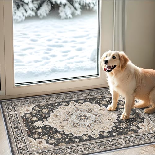 Washable 2x3 Entryway Area Rug: Vintage Non-Slip Backing Rugs for Kitchen Bathroom Water Resistant Carpet for Bedroom Soft Low Pile Front Door Mat for Dining Room 2x3 Black - color: Black, size: 2' x 3' (Rectangular)