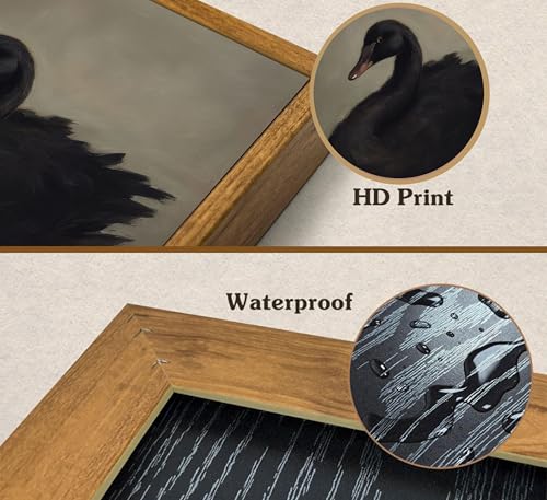 Framed Vintage Black Swan Canvas Wall Art Moody Animal Picture Dark Victorian Gothic Aesthetic Poster Print Rustic Farmhouse Antique Painting Wall Decor for Living Room Bedroom Kitchen 8x10in - color: Black Swan, size: 10"L x 8"W