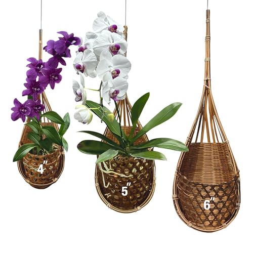 Handmade 100% Thai Bamboo Hanging Orchid Basket – 4 Inch, 5 Inch, 6 Inch (Triple Set) - color: 4 Inch, 5 Inch, 6 Inch - Triple Set