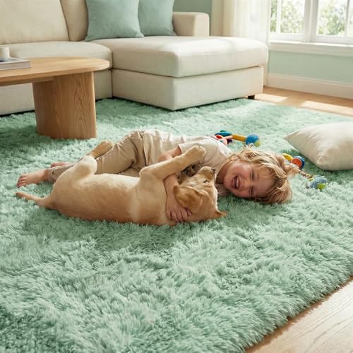 DweIke Fluffy Sage Green Rugs for Bedroom Living Room, 3x5 Feet Soft Plush Shaggy Light Mint Green Girls Boys Kids Rug, Non-Slip and Machine Washable Carpet for Dorm Nursery Classroom Decor - color: Green, size: 3 Ft X 5 Ft