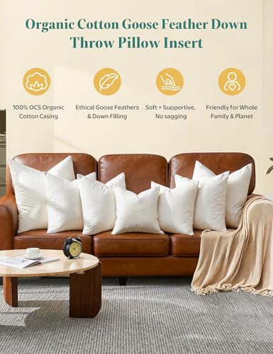 APSMILE Organic Cotton Goose Feather Down Plus Throw Pillow Inserts, 20x20 Inch Set of 2, Soft Supportive Square Decorative Pillow Forms for Couch, Sofa, Bed - size: 20X20