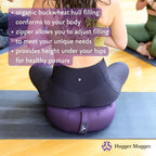 Hugger Mugger Zafu Meditation Cushion - Support in Cross-Legged Sitting, Buckwheat Filled, Durable Fabric, Convenient Handle, Handmade in USA - color: Blue