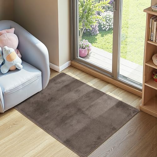 jinchan Solid Plush Area Rug 2x3 Performance Shaggy Washable Rug Indoor Entryway Doormat Soft Modern Faux Wool Cozy Non Slip Carpet for Living Room Kid Room Bedroom Nursery Brown - color: Solid Brown, size: 2' x 3' (Rectangular)