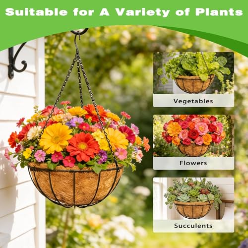 2 Pack 12 Inch Black Metal Hanging Basket Hanging Planter with Coco Coir Liner Heavy Duty Hanging Flower Pot Holder for Indoor Outdoor Patio Garden Porch Balcony Decor (Watermelon) - color: Watermelon