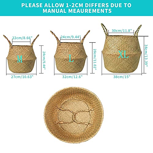 Seagrass Belly Basket, Set of 2 Woven Plant Pot Holder Handmade Home Decor for Storage Plants Picnic Grocery Large(12.6 x 11.02 inch) - size: L(Set of 2)