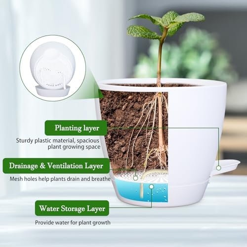 Hanging Planters for Indoor Plants, 2 Set Self Watering Hanging Flower Pots, Modern Hanging Plant Baskets with Metal Plant Holder & 6.5 Inch Plastic Pots for Garden Home Decor (Gold Frame White Pot) - color: Gold Frame White Pot