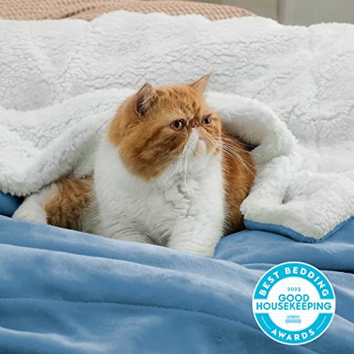 Bedsure GentleSoft Sherpa Fleece Throw Blanket for Couch, Non-Heated, Thick and Warm Throw for Women and Men, Soft Fuzzy Plush Blanket for Winter, Washed Blue, 50x60 Inches - color: 03 - Washed Blue, size: Throw (50" X 60")