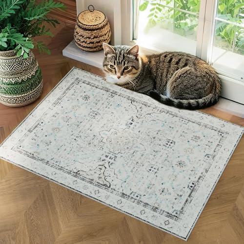 AMTOVO 2x3 Washable Entryway Area Rug Door Mat, Vintage Boho Distressed Print Pattern Non-Slip Carpet, Small Throw Rug for Indoor Entrance Kitchen Bedroom Bathroom Laundry Floor, Light Grey - color: Light Grey, size: 2' x 3' (Rectangular)