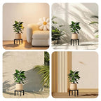 Plant Stand Indoor, Heavy Duty Metal Cross Shape Flower Pot Holder with Adjustable Feet for Uneven Floor, Easy Assembly, Suitable for 4" - 10" pots, Black - size: 1 Pack - Small