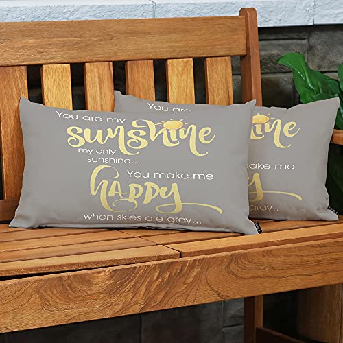EKOBLA Motivational Phrase Home Decorative Throw Pillow Covers You are My Sunshine Yellow Gray Chevron Farmhouse Rectangle Cushion Cover Pillowcases Cotton Linen Cushion Cover 12x20 Inches - color: Multi-bs04, size: 20" x 12" (Pack of 1)