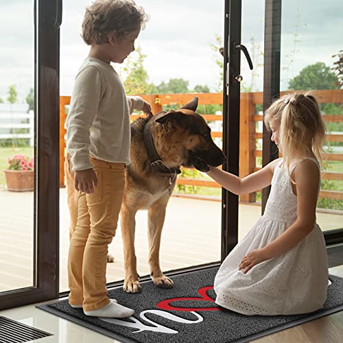 Door Mat, Welcome Mat Low Profile Floor Mat Front Doormat Indoor and Outdoor Doormat Non Slip Rugs for Entryway, Patio, High Traffic Areas (30"x17.5", Grey-Home) - color: Grey-home, size: 1'6" x 2'6" (Rectangular)