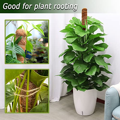 60 Inch Moss Pole for Plants Monstera, Tall Bendable Moss Poles for Climbing Plants Indoor, Large Handmade Plant Pole Sticks, Coco Coir Plant Support Stakes for Potted Plants, Pothos - color: 60 Inch
