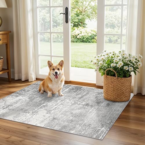 Abstract 2x3 Entryway Area Rugs: Washable Water Resistant Kitchen Rug Non-Slip Durable Doormat Ultra Soft Bedroom Beside Carpet Indoor Low Pile Floor Mat for Bathroom Stove Sink Area(2x3,Light/Grey) - color: Light/Grey, size: 2' x 3' (Rectangular)