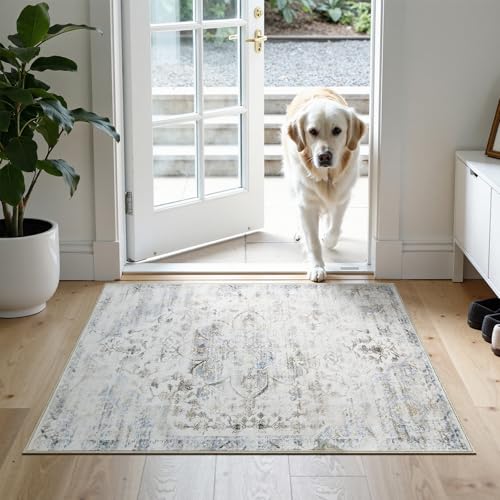 2'x3' Rugs for Living Room Bedroom, Washable Area Rugs, Pet & Kid Friendly Low Pile Carpet, Non-Shedding Non-Slip TPE Backing, Vintage Distressed Print Floor Mat for Bedroom Dining Room, Blue - color: Blue, size: 2x3