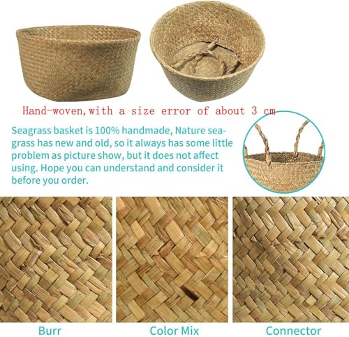 Seagrass Belly Basket, Set of 2 Woven Plant Pot Holder Handmade Home Decor for Storage Plants Picnic Grocery Large(12.6 x 11.02 inch) - size: L(Set of 2)