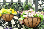 Kingbuy 14 Inch Metal Hanging Planter Basket with Coconut Liner, Wire Plant Holder Watering Pot for Indoor Outdoor Garden Balcony Patio Decoration - 2 Pack