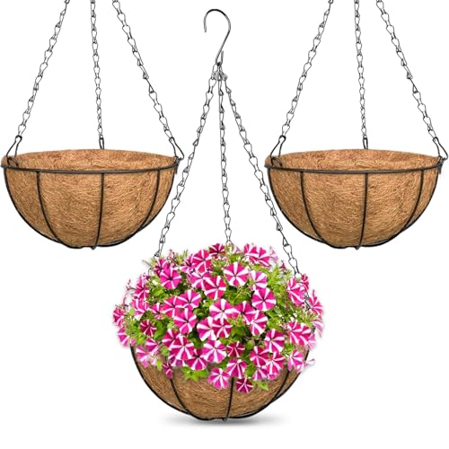 ZeeDix 3 Pack 10 Inch Metal Hanging Baskets, Round Wire Hanging Planters with Coconut Liners Replacement for Plants Flowers Outdoor Outside Deck Porch Garden Balcony Decoration - color: 3 Pack, size: 10 Inch