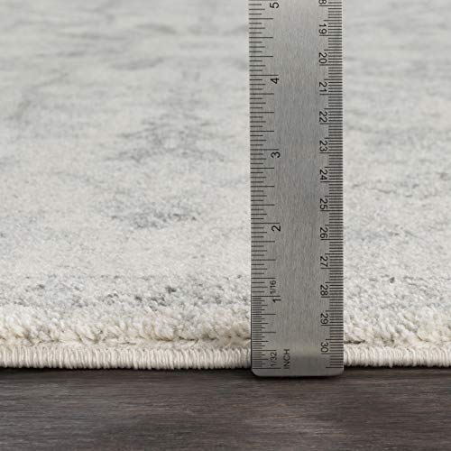 Livabliss Area Rugs - 4x6 Odelia Vintage Boho Gray Charcoal Area Rug for Living Room Bedroom - Floral Medallion Stain Resistant Carpet for Kitchen, Nursery, Office (3'11" x 5'7") - color: Beige, size: 3'11" x 5'7" (Rectangular)