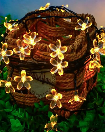 USB Plug in 33ft 100 LED Fairy Flower Lights Strin Indoor Outdoor Decor | Warm White Decorative Floral Lamp Indoor Outdoor Decorations For Bedroom, Christmas, Valientine'S Day, Easter Or Birthday - color: 33ft Warm White Flower Lights