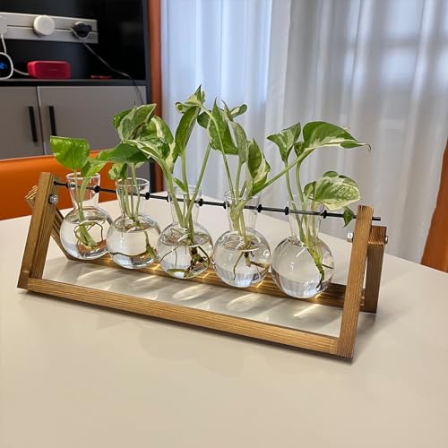 Kingbuy Plant Propagation Station with 5 Bulb Vases Retro Wooden Stand Desktop Glass Planter Terrarium for Hydroponics Plants Home Office Décor - size: 5 Bulb Vase