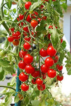 Ultimate Hanging Baskets - Strawberry, Tomato, Flower, and Herb Outdoor Planters - Use Garden Pots for Growing Plants Outside On A Deck, Fence, or Balcony (2) - color: Gray