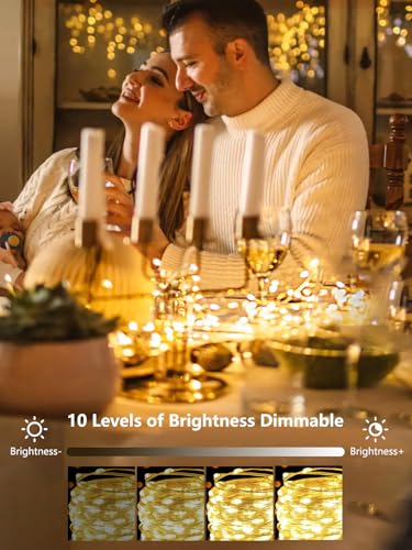 2 Pack 100 LED Fairy Lights Battery Operated with Remote, 33FT Waterproof Twinkle Lights with Timer & 8 Modes, Fairy String Lights Outdoor Indoor for Bedroom Classroom DIY Christmas Decor (Warm White) - color: Warm White, size: 2 Pack
