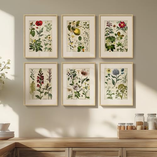 Framed Botanical Floral Wall Art for Kitchen, Set of 6 Green Painting Canvas Prints with Mat for Modern Farmhouse Wall Decor, Rustic Plant Flower Pictures for Living Room Bedroom Dining Room, 11x14 - color: Botany - Neutral Framed, size: 11" W x 14" H x 6