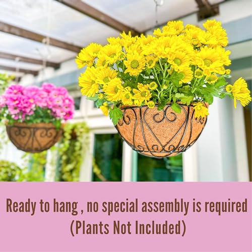 LaLaGreen Hanging Baskets for Plants (14 Inch, 6 Pack) Hanging Flower Pots with Coco Liner, Black Metal Wire Round Basket Plant Holder with Hanger Hook Chain, Outdoor Patio Deck Balcony Garden Decor - size: 14" x 6 Pack