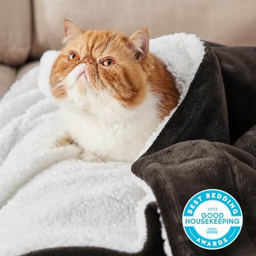 Bedsure GentleSoft Sherpa Fleece Throw Blanket for Couch, Non-Heated, Thick and Warm Throw for Women and Men, Soft Fuzzy Plush Blanket for Winter, Brown, 50x60 Inches - color: 05 - Brown, size: Throw (50" X 60")