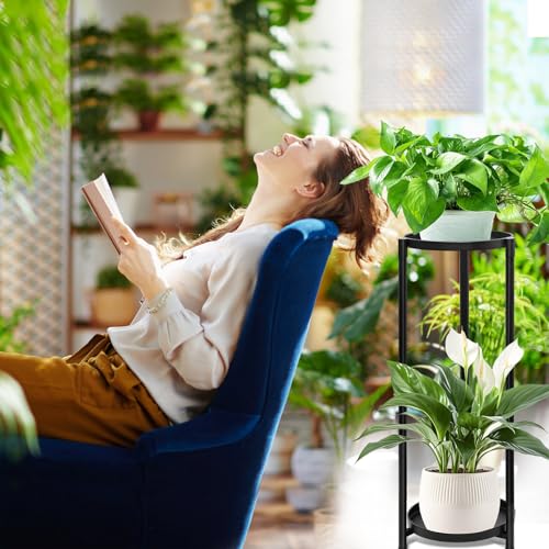 2 Tier Plant Stand Indoor Tall, Black Corner Tiered Round Plant Stand for Indoor Multiple Plants, Metal Flower Pot Stands Outdoor Holders Plant Shelf Display Rack for Balcony Living Room - color: 2 Tier-Black
