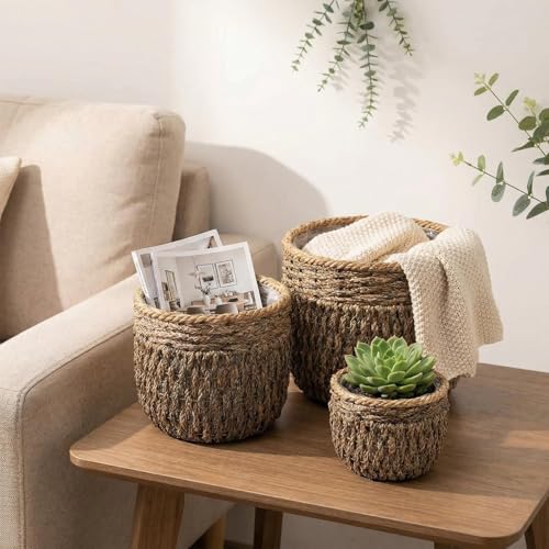 Seagrass Plant Basket Set of 3, Handwoven Woven Planter Baskets | Plastic Lined, Waterproof Liner, Natural Storage Basket, Home Decor