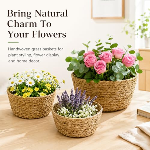 3 Pcs Natural Woven Planter Basket, Handwoven Grass Plant Basket Pot Cover, Round Decorative Storage Basket for Indoor Plants, Flower Pots, Desktop Organizer (Large) - size: Large