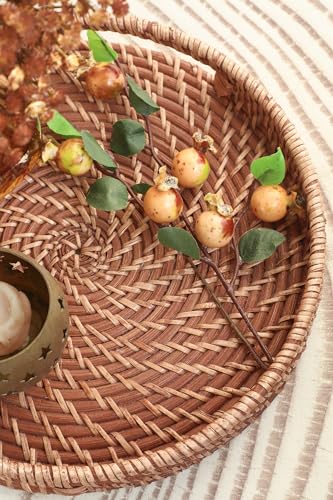 HITOMEN 11.8" Hand-Woven Round Rattan Serving Tray Decorative Wicker Trays with Handles for Coffee Table (Honey Brown-M) - color: Honey Brown, size: Medium (11.8 inches)