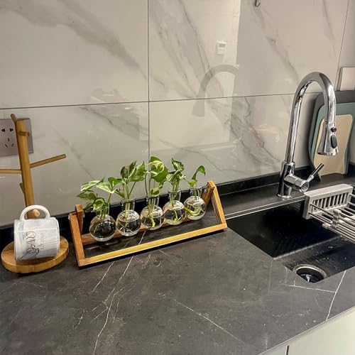 Kingbuy Plant Propagation Station with 5 Bulb Vases Retro Wooden Stand Desktop Glass Planter Terrarium for Hydroponics Plants Home Office Décor - size: 5 Bulb Vase