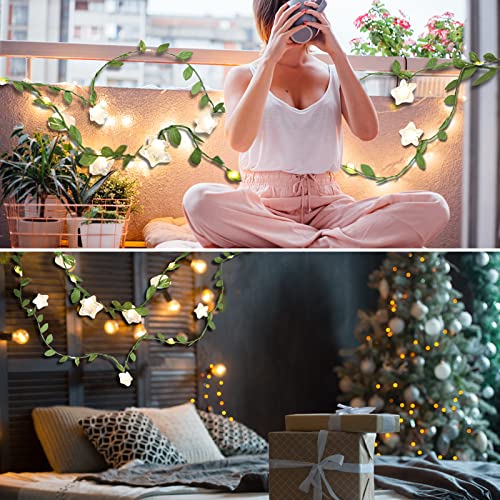 Vigdur 2 Packs Vine String Lights - Tiny Leaf Ivy String Lights with 48 Star Lights Battery Powered Waterproof Fairy Light Indoor Outdoor for Bedroom Party Garden Wall Décor St. Patrick's Day - color: Leaf and Star