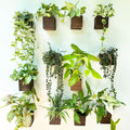 LaLaGreen Indoor Planter Box for Plants (4x4 Inch, 12 Pack) Small Square Wooden Wall Mounted Planters Wood Window Boxes Hanging Flower Pot Plant Holder Outdoor Herb Modern Vertical Garden Home Decor - size: 4x4" x 12 pack
