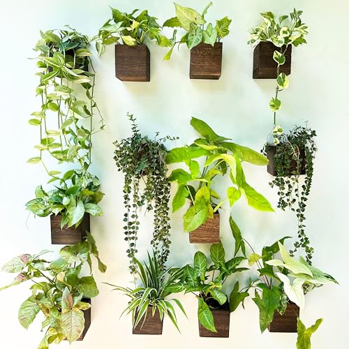 LaLaGreen Indoor Planter Box for Plants (4x4 Inch, 12 Pack) Small Square Wooden Wall Mounted Planters Wood Window Boxes Hanging Flower Pot Plant Holder Outdoor Herb Modern Vertical Garden Home Decor - size: 4x4" x 12 pack