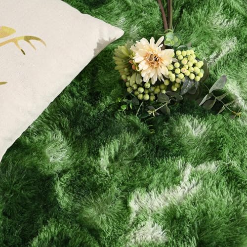 DweIke Fluffy Dark Green Rugs for Bedroom Living Room, 3x5 Feet Soft Plush Shaggy Tie-Dyed Forest Moss Green Girls Boys Kids Rug, Non-Slip and Machine Washable Carpet for Dorm Nursery Decor - color: Dark-green, size: 3 Ft X 5 Ft