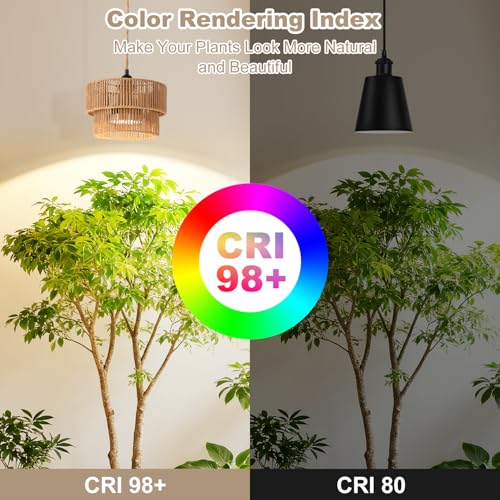 Hanging Grow Light, 30W LED Lamp with Timer for Indoor Plants | 4000K LED plant lamp with 15 ft cord, outlet timer, and boho paper rope shade for succulents, herbs, and low-light rooms. - color: Tiered
