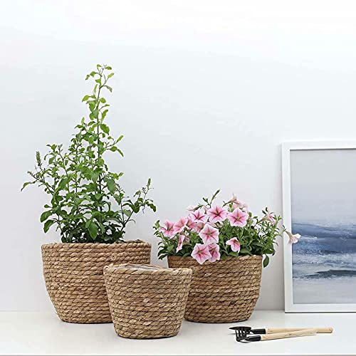 Seagrass Planter Basket 3 Set Handmade Woven Basket Indoor Outdoor Storage Basket Flower Pot Container with Waterproof Plastic Liner for Houseplants Succulents Orchid Modern Home Decor Brown