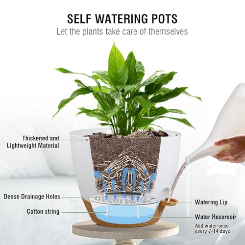 Meowell 10 inch Self Watering Hanging Planters, 2 Pack Hanging Baskets for Indoor Outdoor Plants, Hanging Flower Pots with Drainage Holes & 2 Kinds of Plant Hangers for Garden Home Décor, White Brown - color: White With Brown